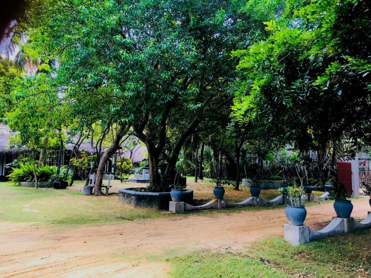 Werala Beach Resort Kalpitiya Bagian luar foto