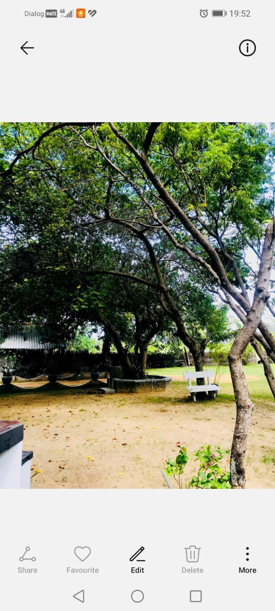 Werala Beach Resort Kalpitiya Bagian luar foto