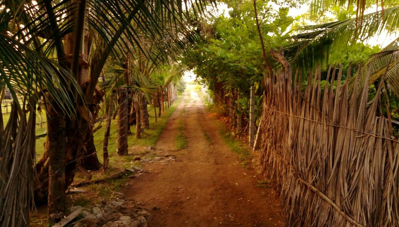 Werala Beach Resort Kalpitiya Bagian luar foto